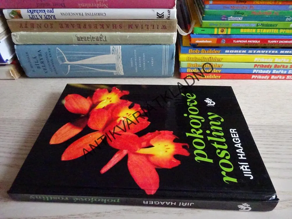 POKOJOVÉ ROSTLINY, JIŘÍ HAAGER, **an