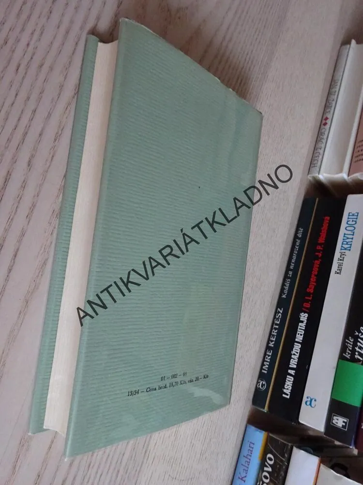 ZÁMEK, FRANZ KAFKA, **an