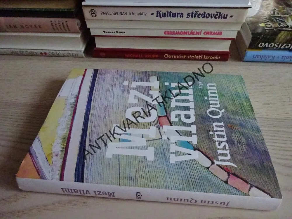 MEZI VILAMI, JUSTIN QUINN, **an