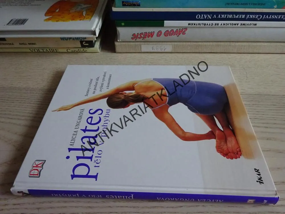 PILATES, TĚLO V POHYBU, SPORT, CVIČENÍ, ALYCEA UNGAROVÁ, **an
