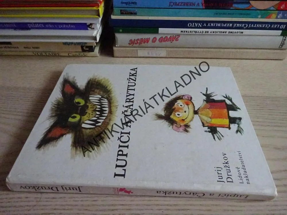 LUPIČI A ČÁRYTUŽKA, JURIJ DRUŽKOV, **an