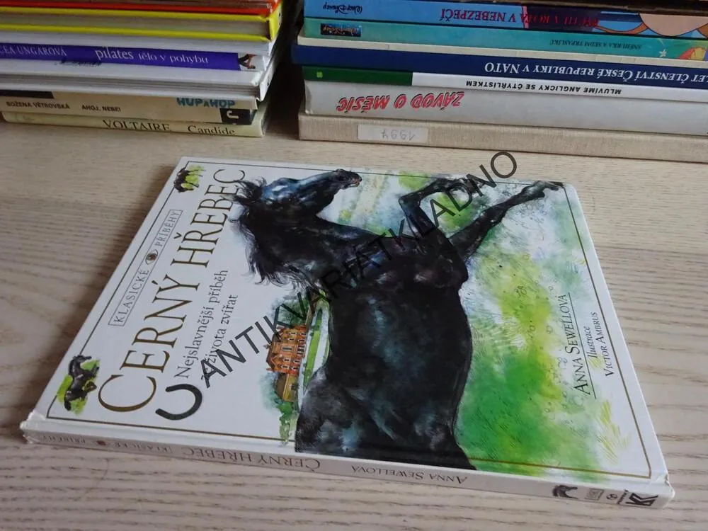 ČERNÝ HŘEBEC, ANNA SEWELLOVÁ, **an