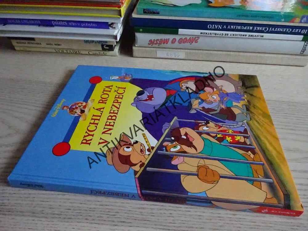 RYCHLÁ ROTA V NEBEZPEČÍ, WALT DISNEY, **an