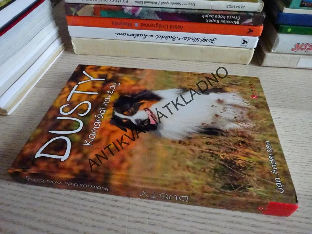 DUSTY, KAMARÁDI NAVŽDY, JAN ANDERSEN, **an