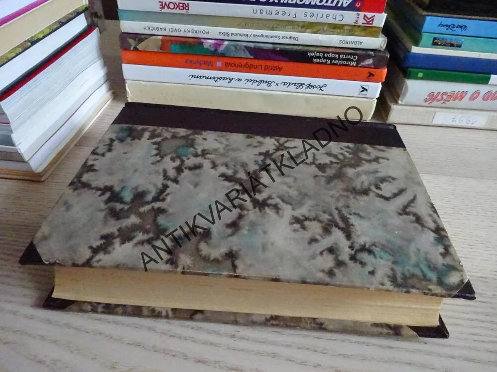 PRAŽSKÁ BOHÉMA, KAREL RÉLINK, **an