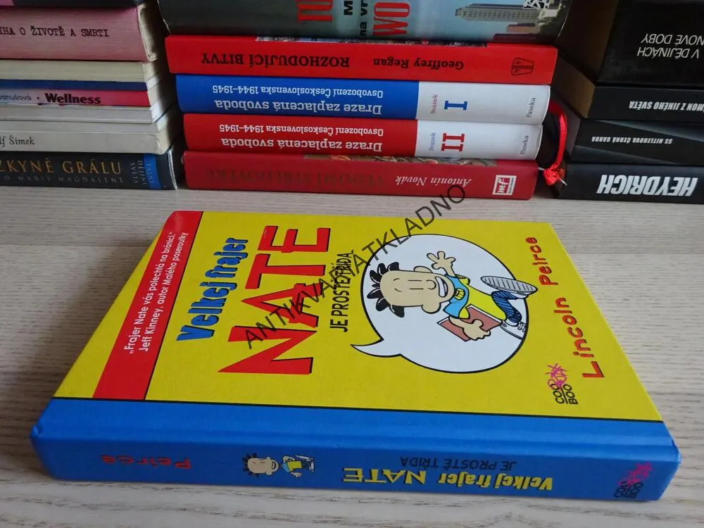 VELKEJ FRAJER NATE JE PROSTĚ TŘÍDA, KOMIKS, LINCOLN PEIRCE, **an