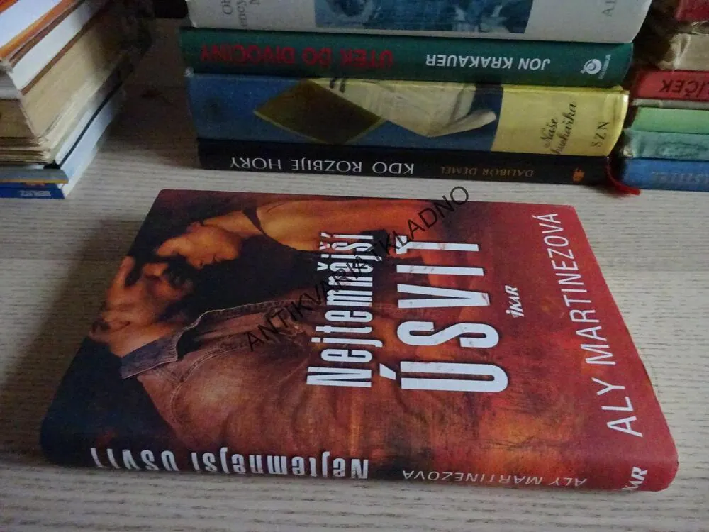 NEJTEMNĚJŠÍ ÚSVIT, ALY MARTINEZOVÁ, **an