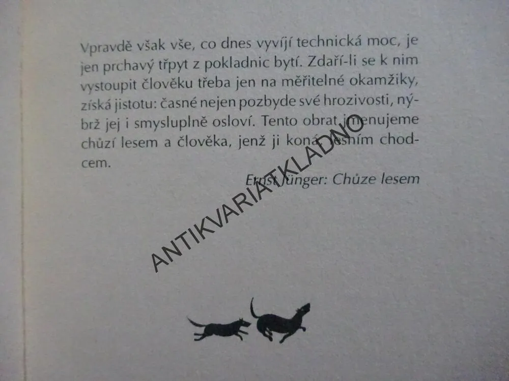 LESNÍ CHODCI, MARTIN RYŠAVÝ, **an