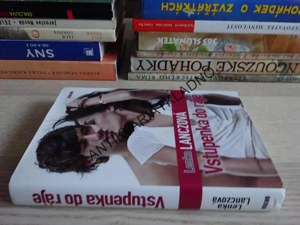 VSTUPENKA DO RÁJE, LENKA LANCZOVÁ, **an