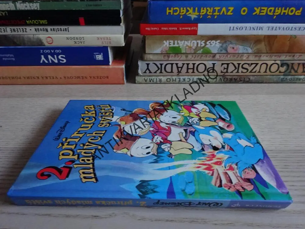 2. PŘÍRUČKA MLADÝCH SVIŠŤŮ, WALT DISNEY, **an
