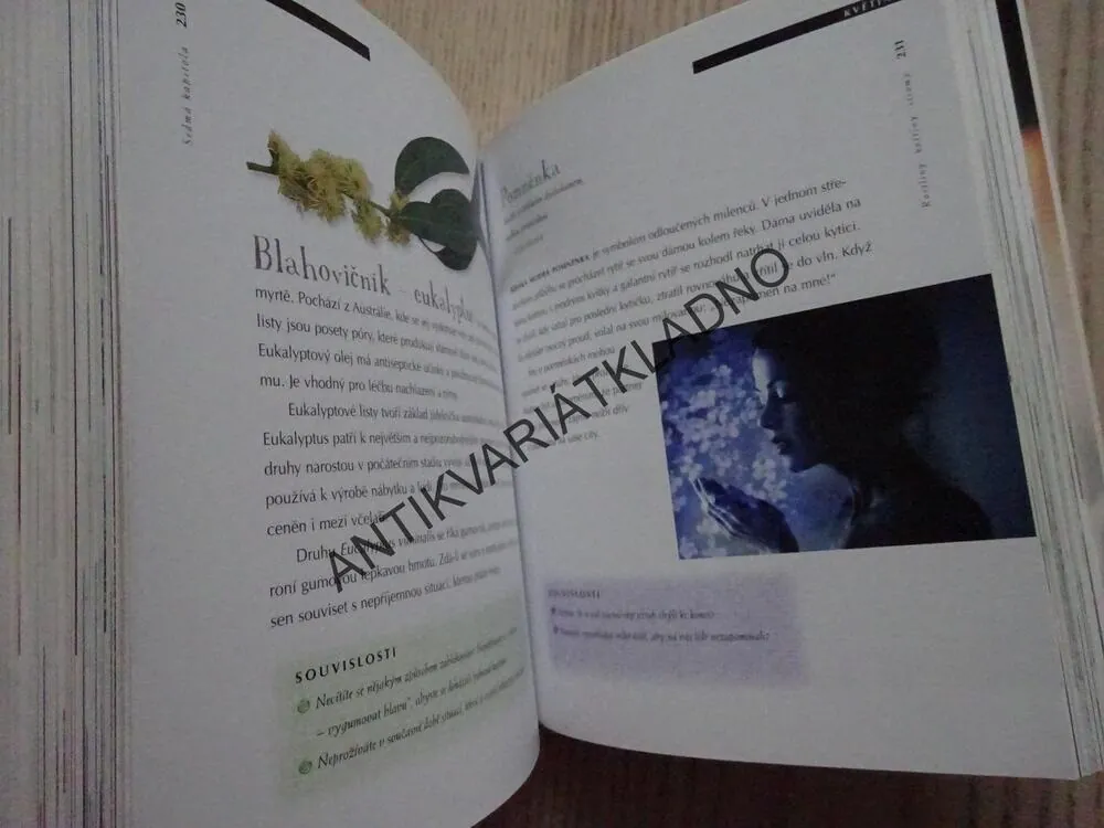 SNY OD A DO Z, BRENDA MALLONOVÁ, **an