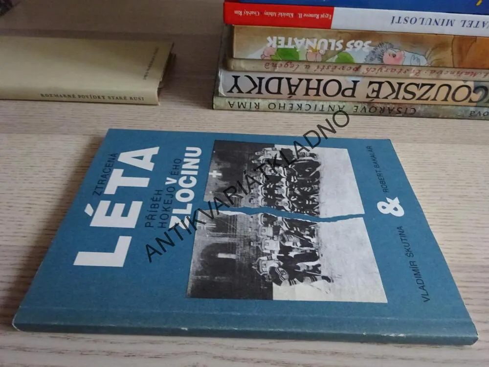 ZTRACENÁ LÉTA, PŘÍBĚH HOKEJOVÉHO ZLOČINU, SKUTINA, BAKALÁŘ, **an
