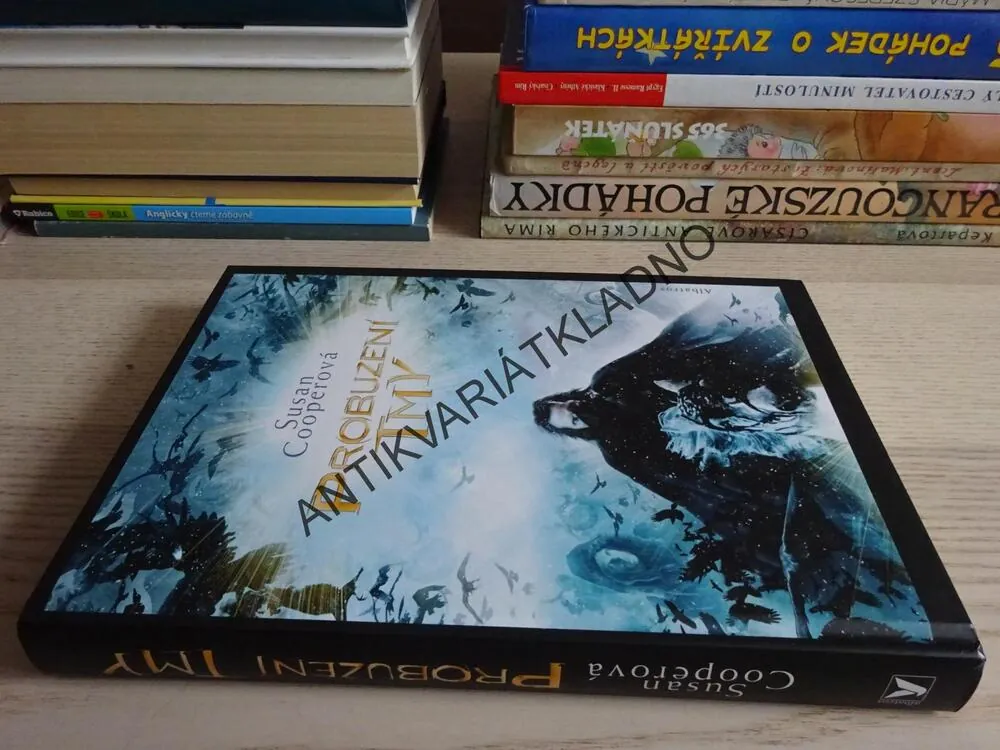 PROBUZENÍ TMY, SUSAN COOPEROVÁ, **an