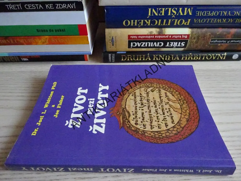 ŽIVOT MEZI ŽIVOTY, DR. JOEL L. WHITTON PHD, JOE FISHER, **an