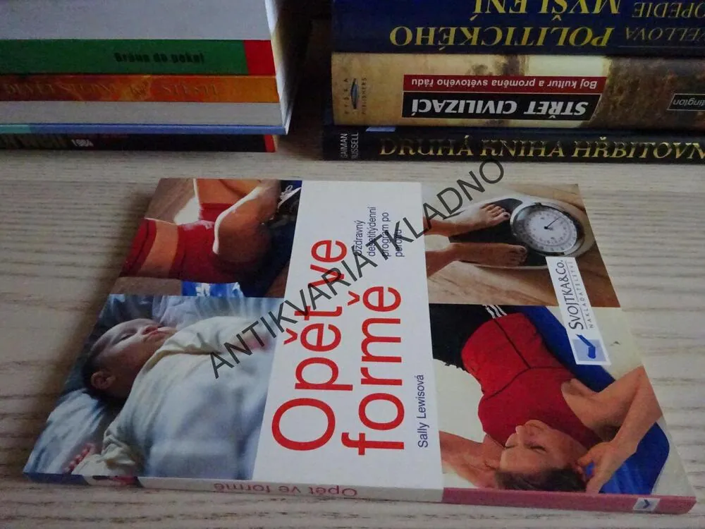 OPĚT VE FORMĚ, SALLY LEWISOVÁ, **an