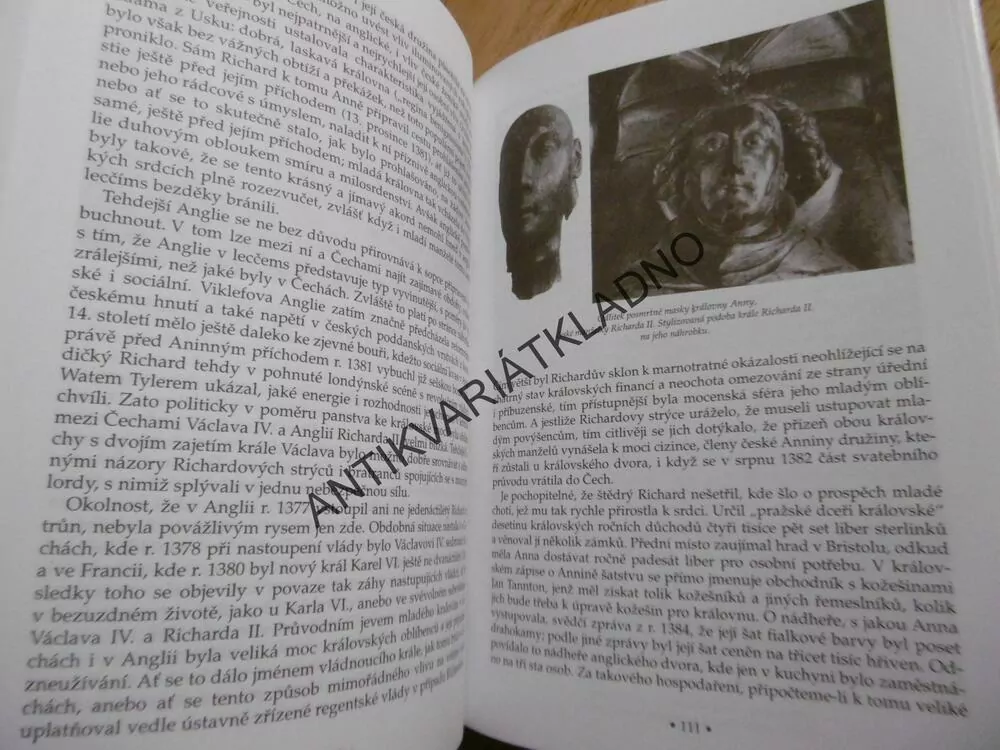 KRÁLOVNY A KNĚŽNY ČESKÉ, ŽENY V ČESKÝCH DĚJINÁCH, **an