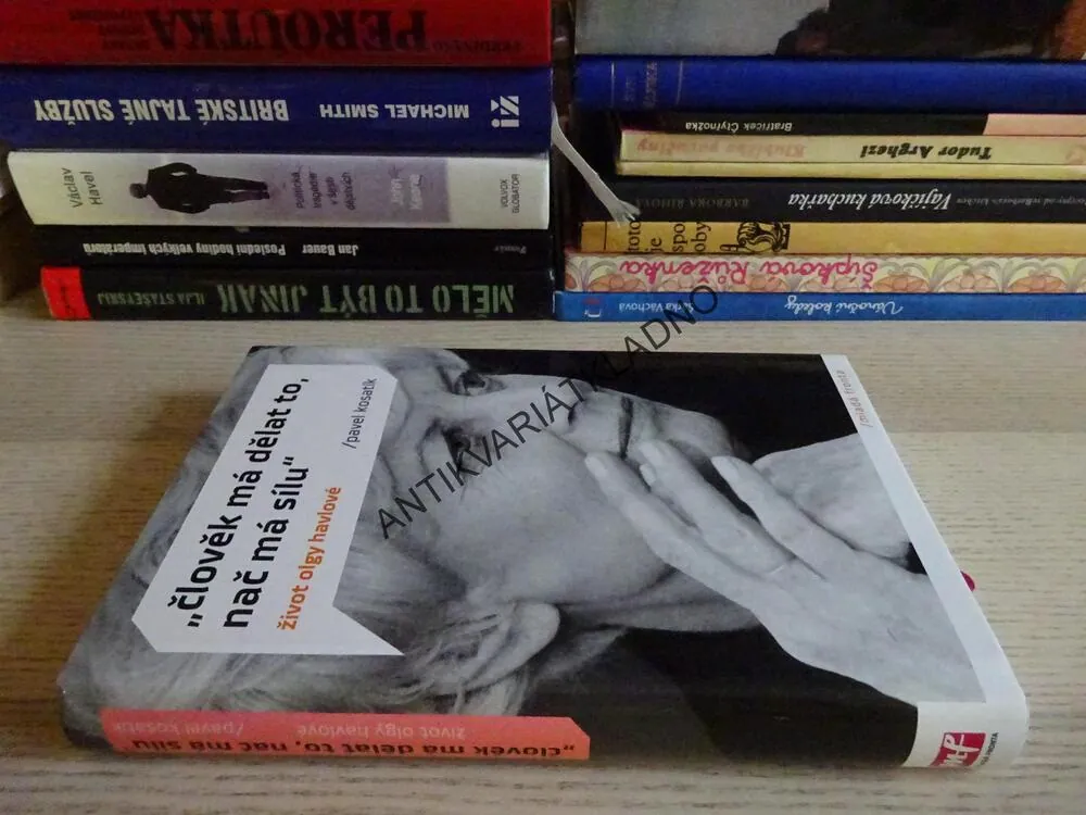 ČLOVĚK MÁ DĚLAT TO, NAČ MÁ SÍLU, ŽIVOT OLGY HAVLOVÉ, PAVEL KOSATÍK, **an