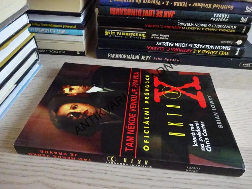 AKTA X - TAM NĚKDE VENKU JE PRAVDA, BRIAN LOWRY, **an