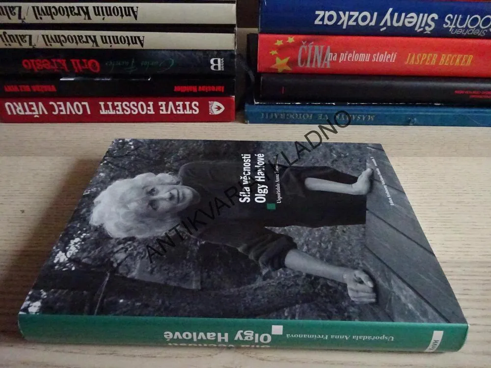 SÍLA VĚČNOSTI OLGY HAVLOVÉ, ANNA FREIMANOVÁ, **an