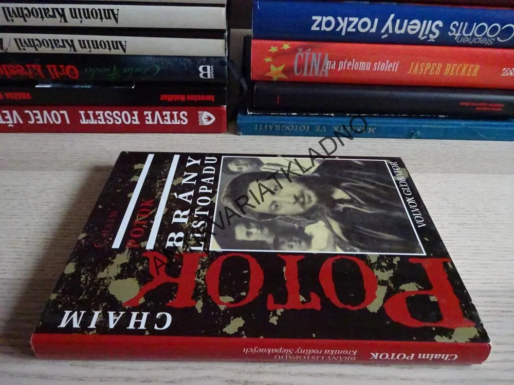 BRÁNY LISTOPADU, CHAIM POTOK, **an
