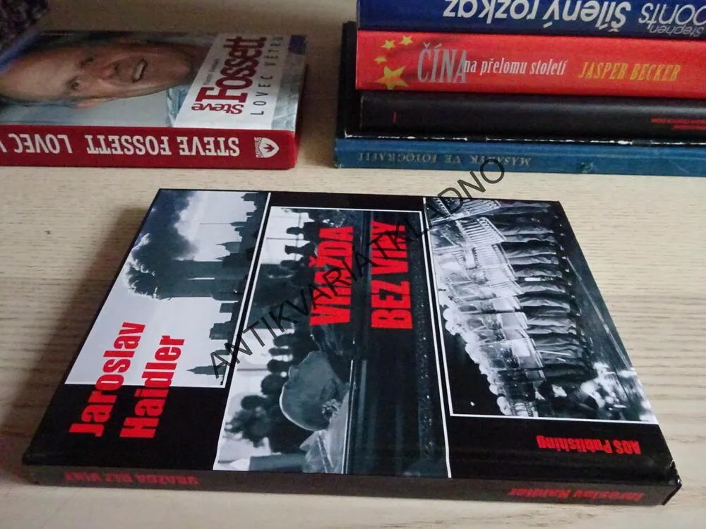VRAŽDA BEZ VINY, JAROSLAV HAIDLER, **an