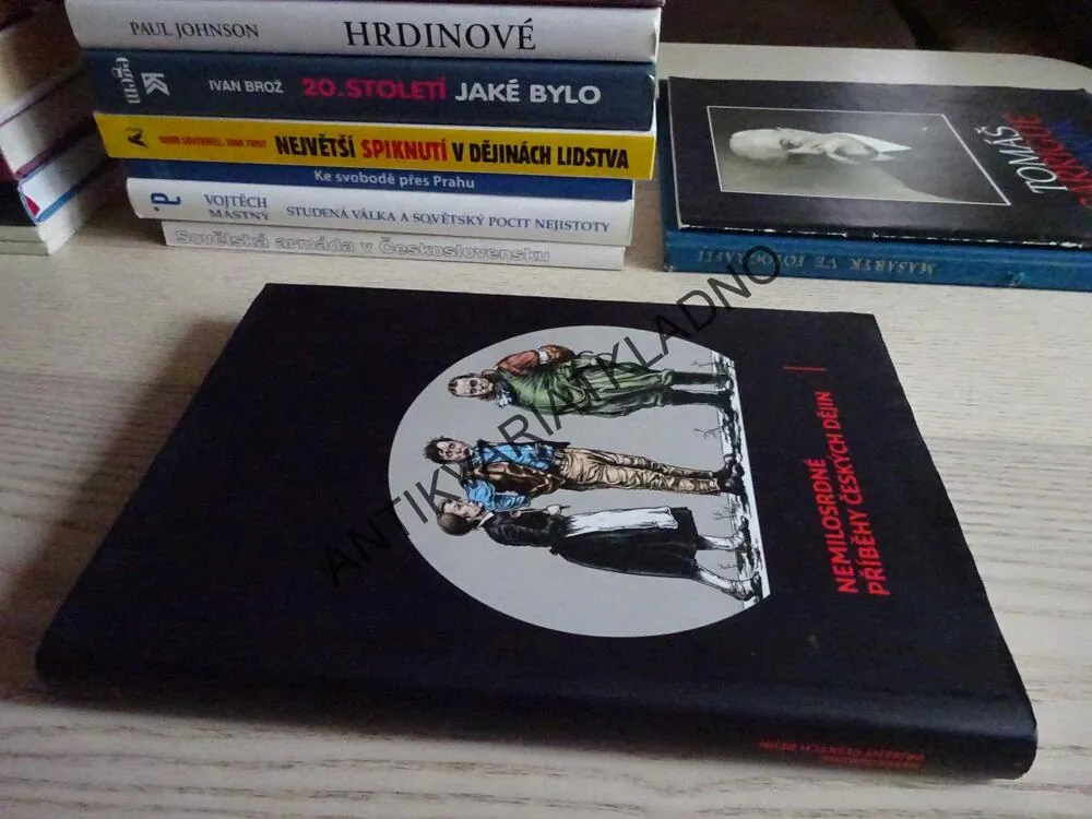 NEMILOSRDNÉ PŘÍBĚHY ČESKÝCH DĚJIN, KOLEKTIV AUTORŮ, **an