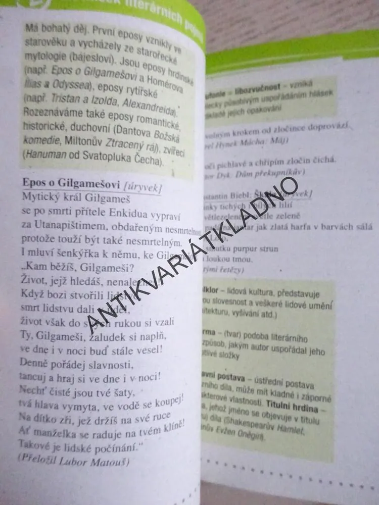 SMS - STRUČNÝ, MALÝ, SROZUMITELNÝ, LITERATURA, JAK VYZRÁT NA UČENÍ, 2 KUSY