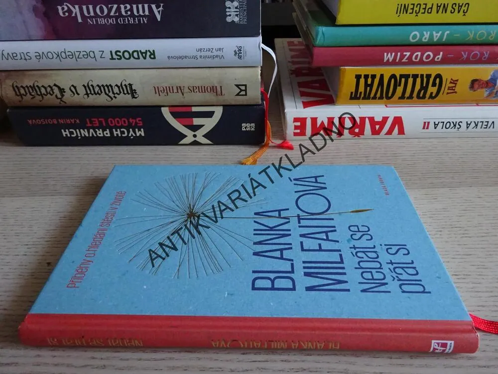 NEBÁT SE PŘÁT SI, BLANKA MILFAITOVÁ, **an