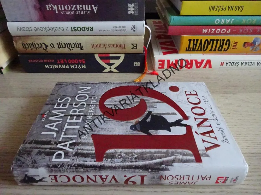 19. VÁNOCE, JAMES PATTERSON, MAXINE PAETRO, **an