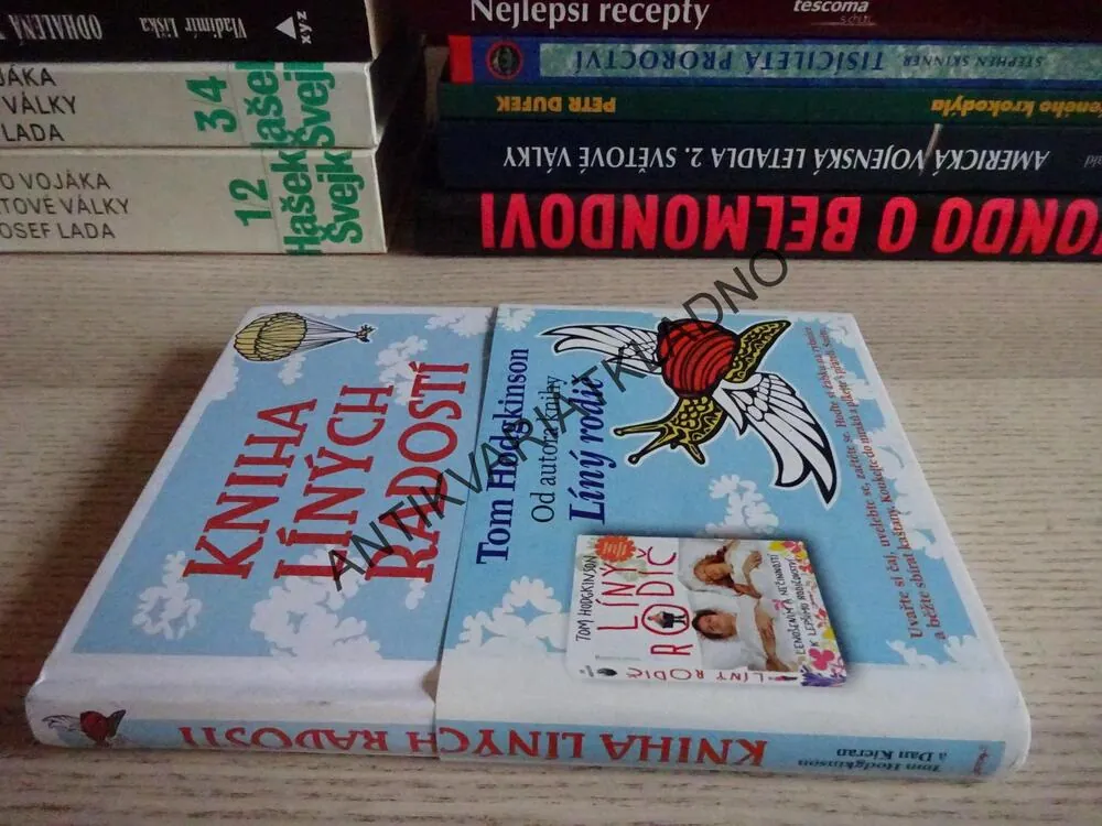 KNIHA LÍNÝCH RADOSTÍ, TOM HODGKINSON, **an