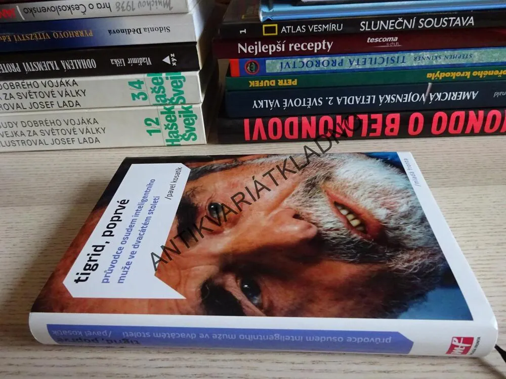 TIGRID, POPRVÉ, PAVEL KOSATÍK, **an