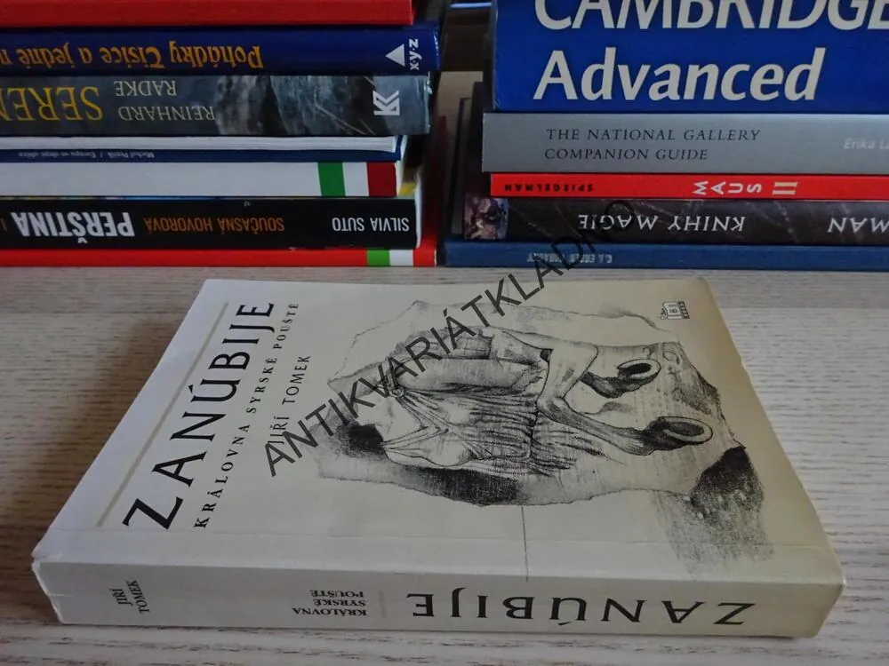 ZANÚBIJE, KRÁLOVNA SYRSKÉ POUŠTĚ, JIŘÍ TOMEK,, **an