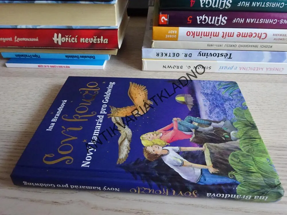 SOVÍ KOUZLO, NOVÝ KAMARÁD PRO GOLDWING, INA BRANDTOVÁ, **an