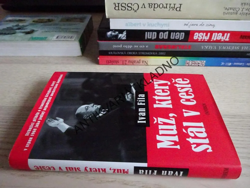 MUŽ, KTERÝ STÁL V CESTĚ, IVAN FÍLA, **an