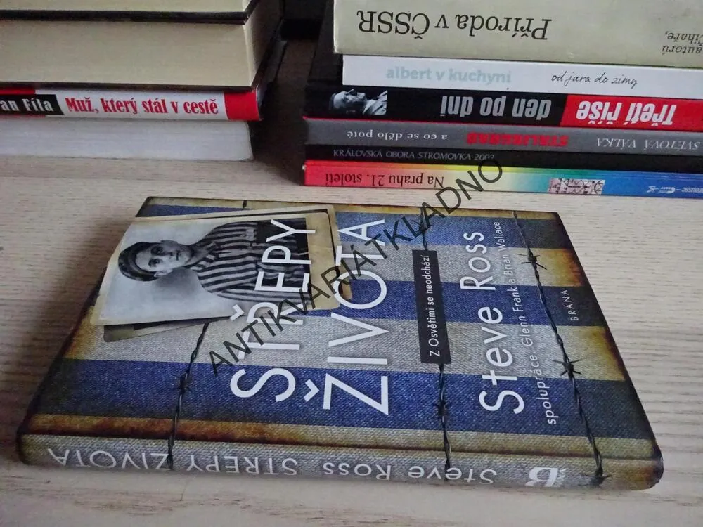 STŘEPY ŽIVOTA, STEVE ROSS, **an