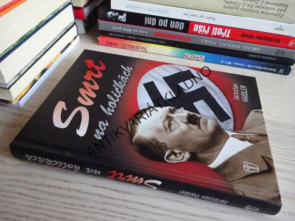 SMRT NA HOLIČKÁCH, JAROSLAV HAIDLER, **an