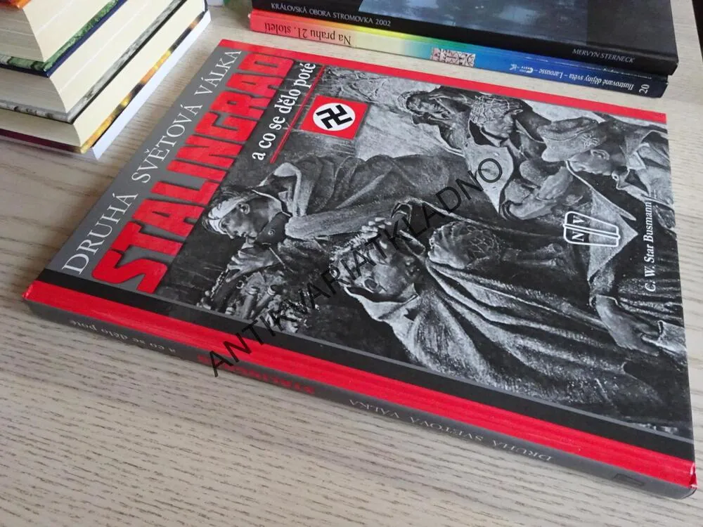 DRUHÁ SVĚTOVÁ VÁLKA, STALINGRAD A CO SE DĚLO POTÉ, Q. W. STAR BUSMANN, **an