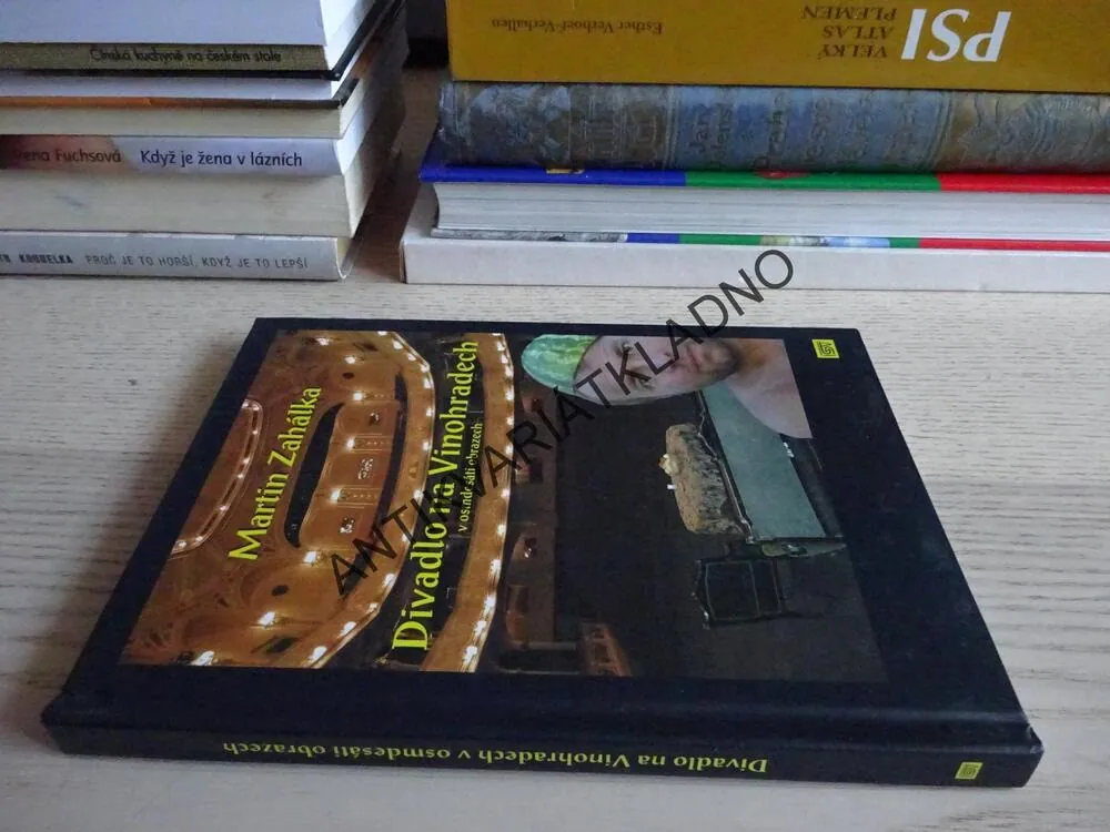 DIVADLO NA VINOHRADECH V OSMDESÁTI OBRAZECH, MARTIN ZAHÁLKA, **an