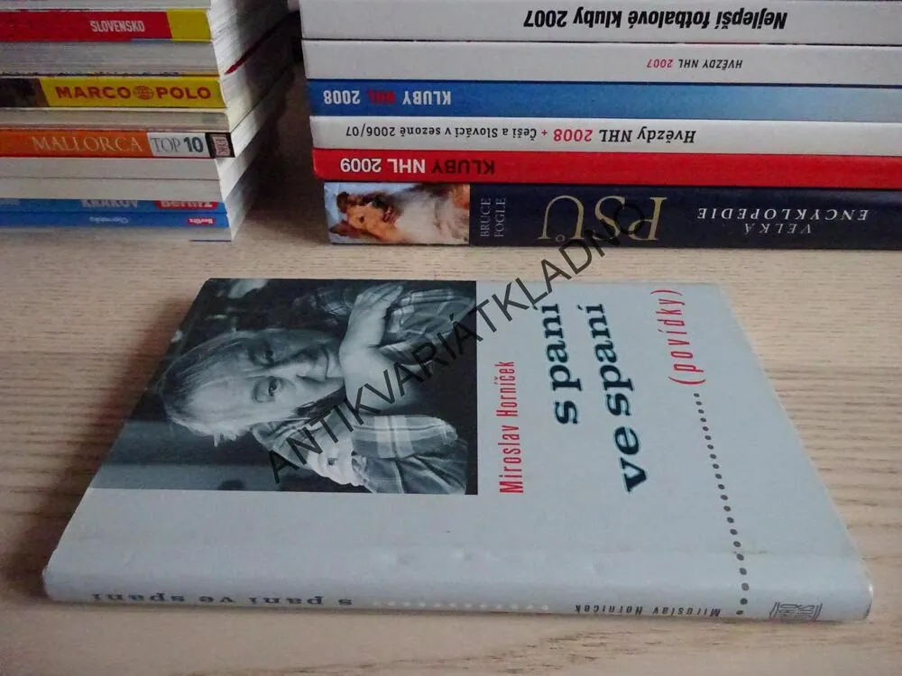 SPANÍ VE SPANÍ, MIROSLAV HORNÍČEK, **an