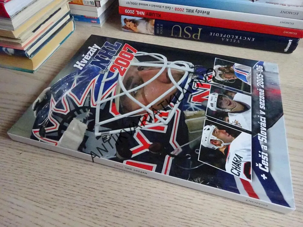 HVĚZDY NHL 2007, ČEŠI A SLOVÁCI V SEZONĚ 2005-06, LEDNÍ HOKEJ, **an