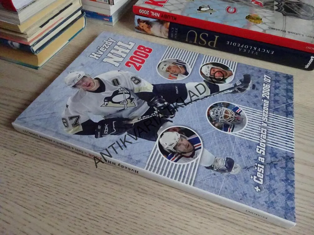 HVĚZDY NHL 2008, ČEŠI A SLOVÁCI V SEZONĚ 2006/07, LEDNÍ HOKEJ, **an
