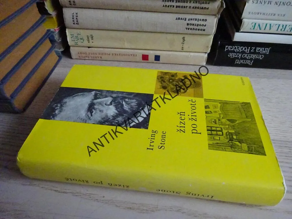 ŽÍZEŇ PO ŽIVOTĚ, IRVING STONE, **an