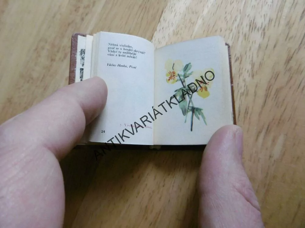 KRAKONOŠŮV HERBÁŘ, MINI KNÍŽEČKA, KVĚTINY, BLAŽKOVÁ,PULEC,1966