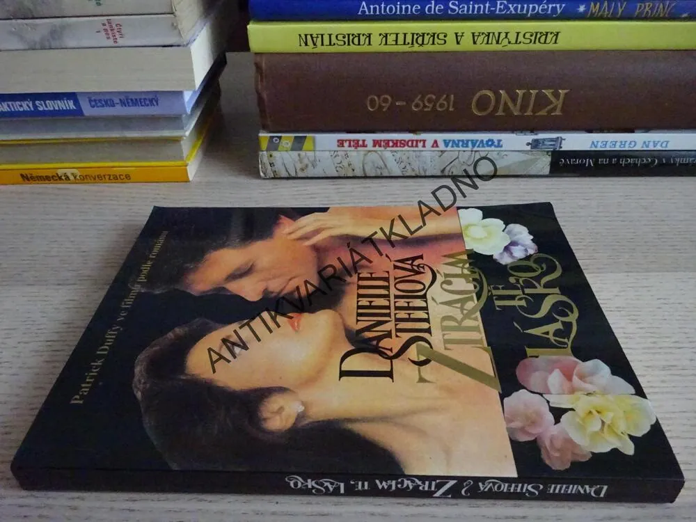 ZTRÁCÍM TĚ, LÁSKO, DANIELLE STEELOVÁ, **an