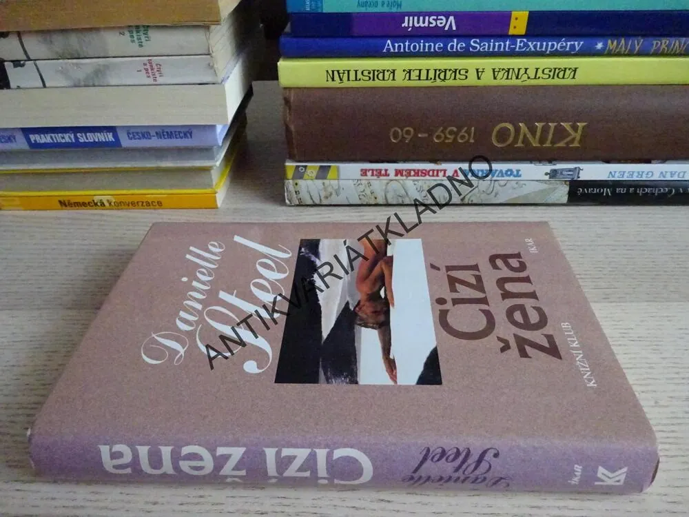 CIZÍ ŽENA, DANIELLE STEELOVÁ, **an