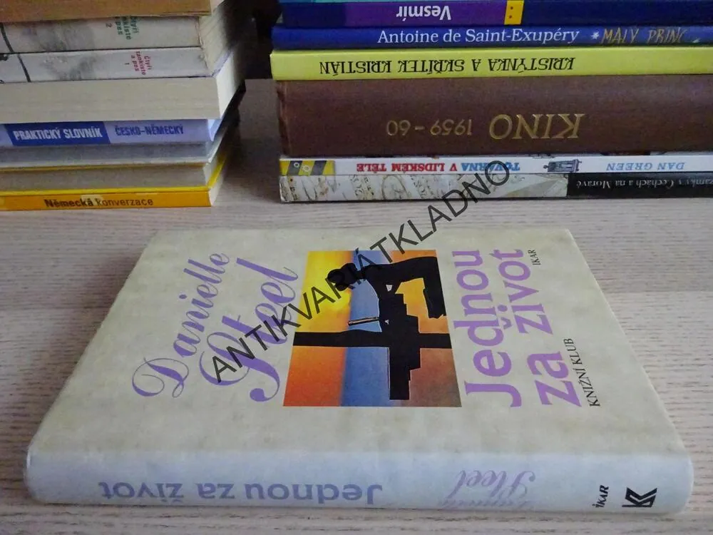 JEDNOU ZA ŽIVOT, DANIELLE STEELOVÁ, **an