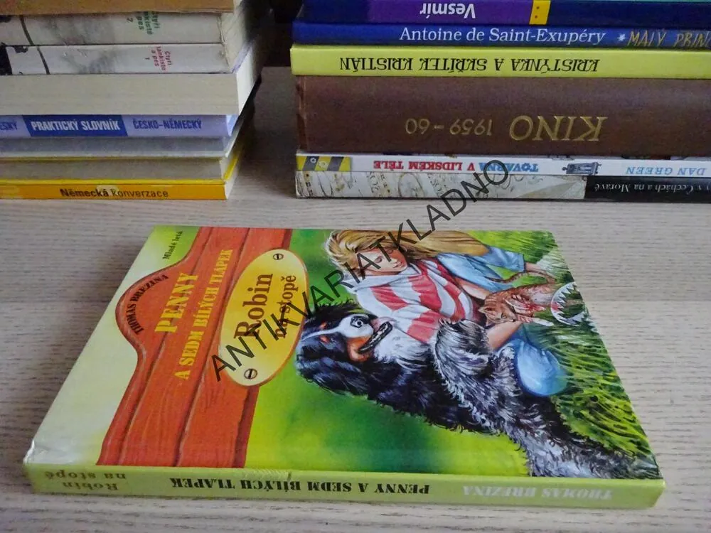 ROBIN NA STOPĚ, THOMAS BREZINA, **an
