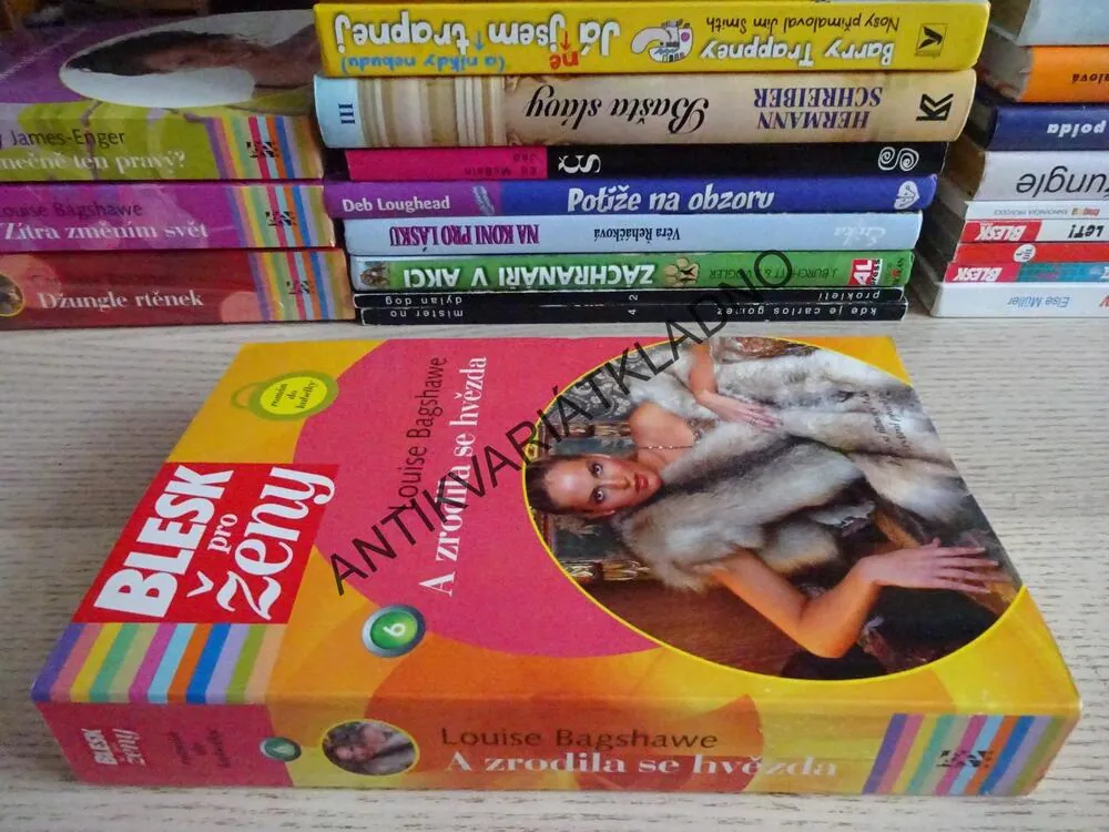 A ZRODILA SE HVĚZDA, LOUISE BAGSHAWE, **an