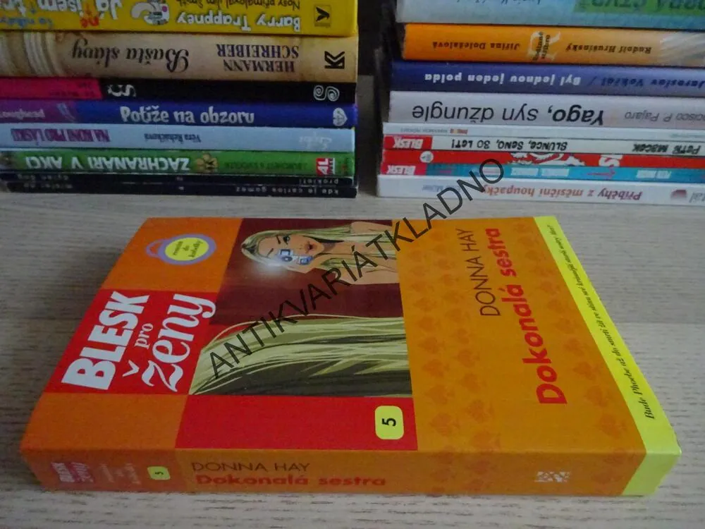 DOKONALÁ SESTRA, DONNA HAY, **an
