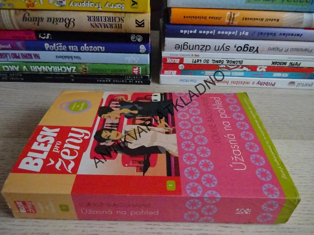 ÚŽASNÁ NA POHLED, LOUISE BAGSHAWE, **an